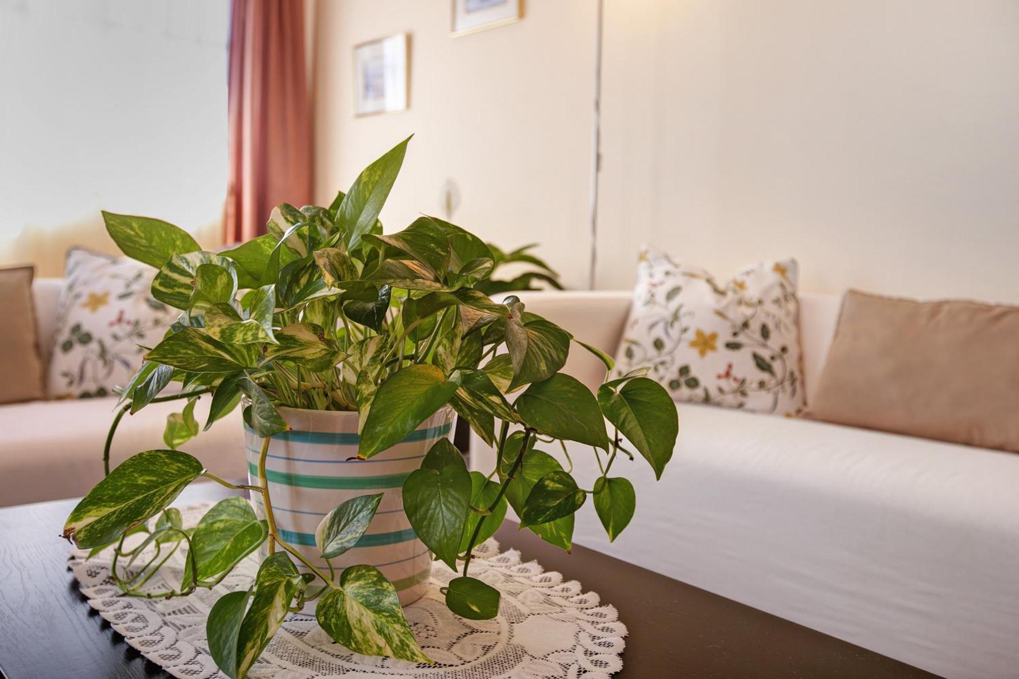 Casa Fefa Villa Candelaria Ngoại thất bức ảnh